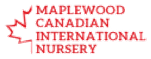 Maplewood Canadian International Nursery logo